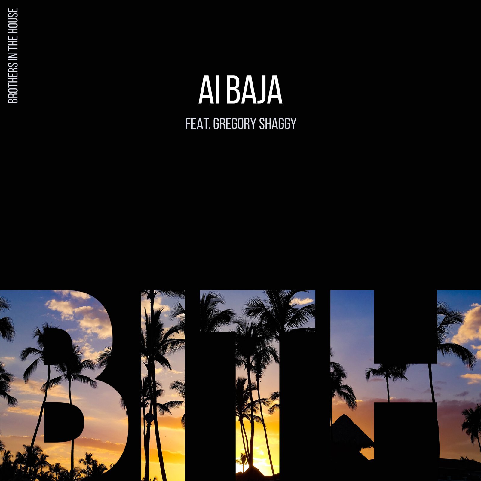Ai Baja